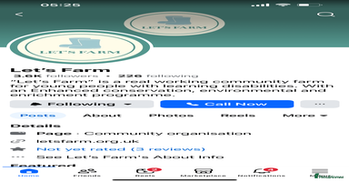 Guinea Pig rodents Lovely baby guinea pigs for sale  - Advert 7