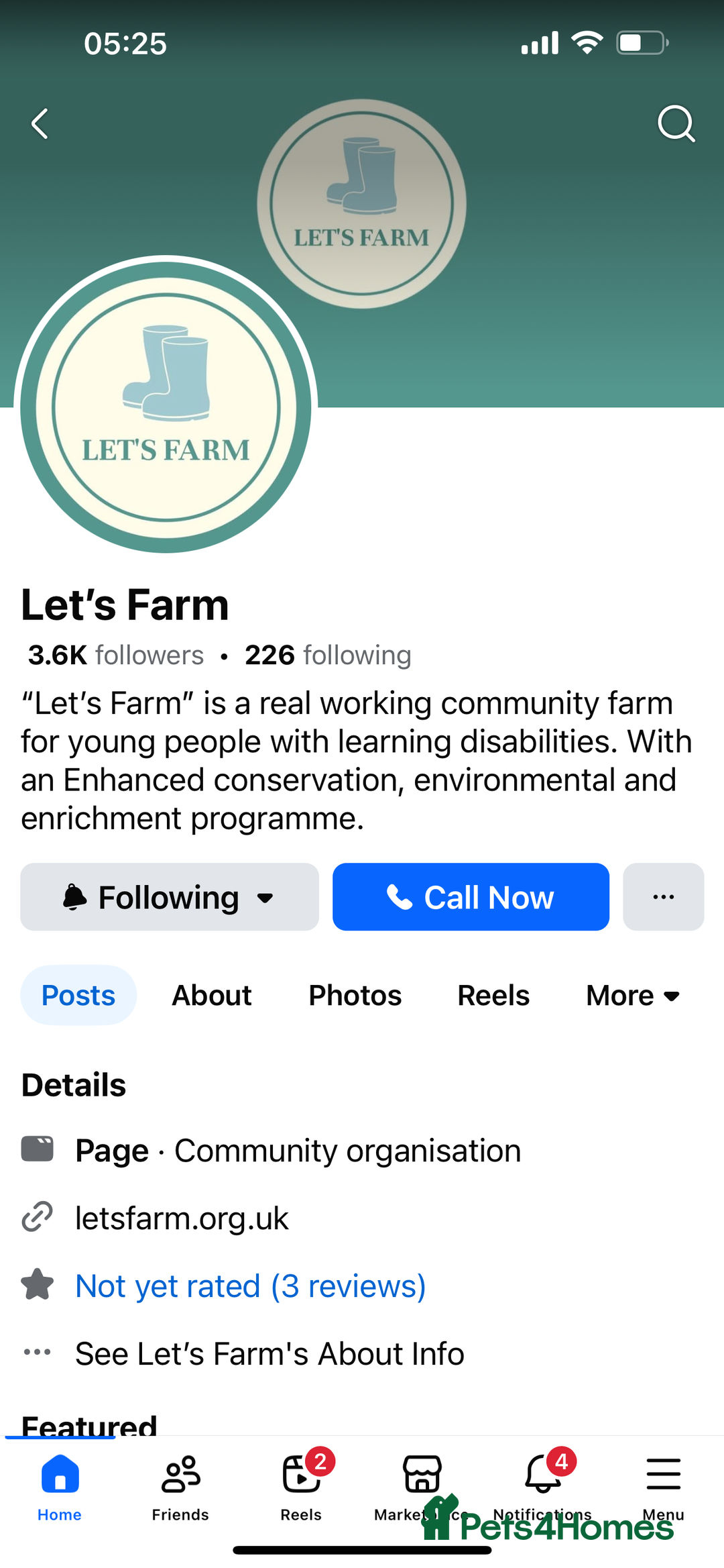 Guinea Pig rodents for sale: Lovely baby guinea pigs for sale  - Image 9