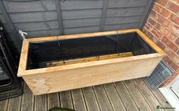 Terrapin reptiles for sale: Terrapins - Image 18