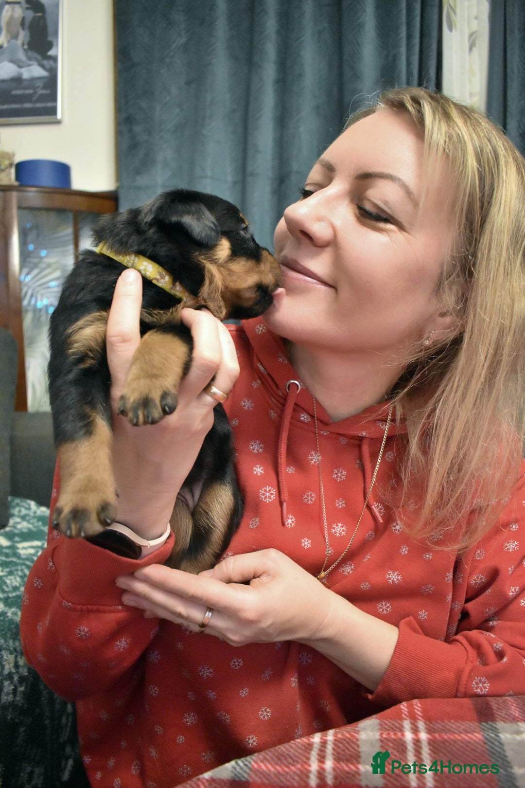 Rottweiler dogs for sale: KC chunky rottweiler puppies - Advert 14