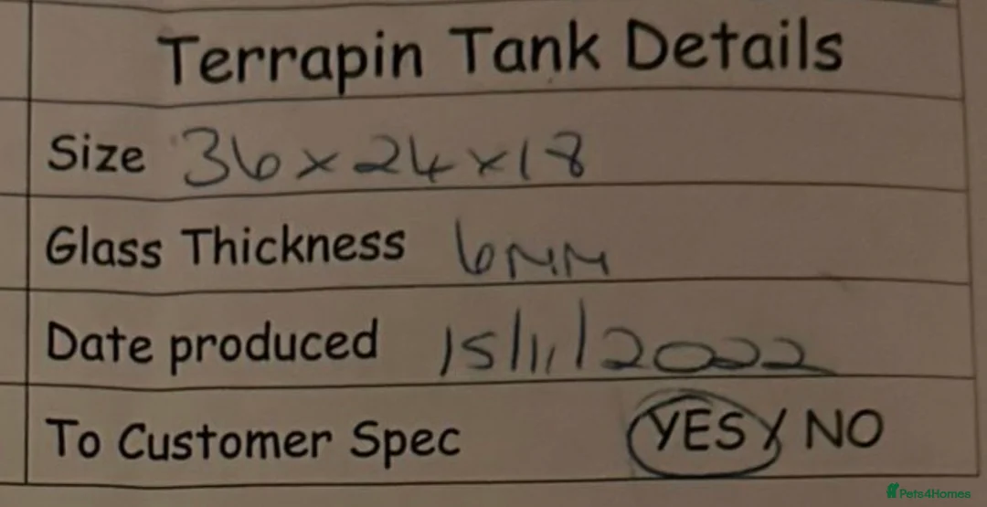 Terrapin reptiles for sale: Reeves turtles & guppies  - Advert 3