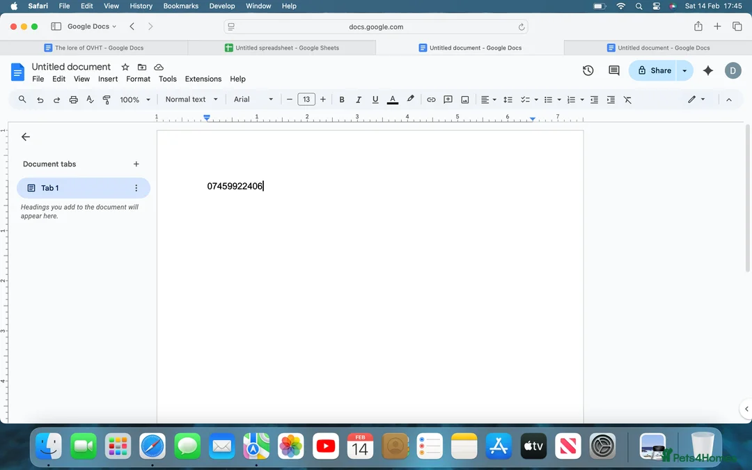 Finches birds for sale: Finches Bird/ Owl finches - Advert 4
