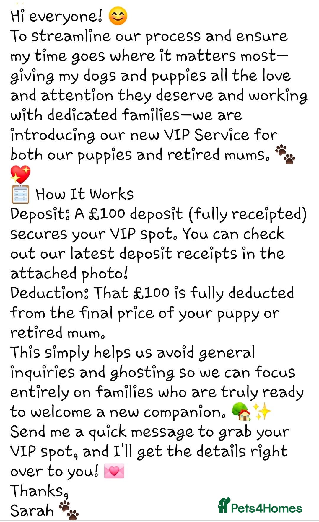 Yorkshire Terrier dogs Two upcoming litters biewer terrier and Merles - Advert 2