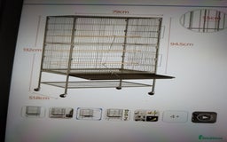 Budgerigars birds for sale: 10 Budgies and 2 large cages - Image 2