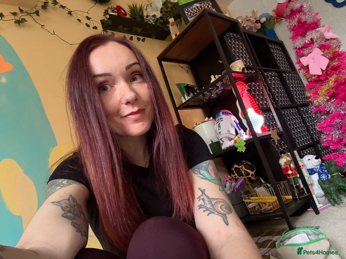 Gallery Image {{count}}