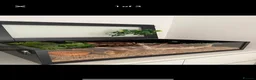 Corn Snake reptiles for sale: Female Corn Snake  in Epsom - Advert 4