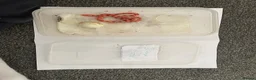 Corn Snake reptiles for sale: Corn Snakes - Advert 2