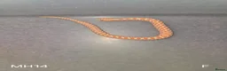 Snake reptiles for sale: Baby Hognoses in Wokingham - Advert 9