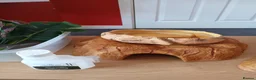 Mixed Breed reptiles for sale: Snake tank vivarium 3ft in Rainham - Advert 4