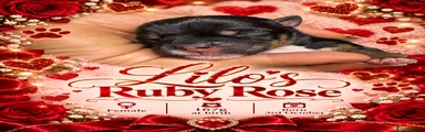 Ruby rose