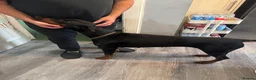 Dobermann dogs for sale: Doberman bitch  in Falkirk - Advert 2
