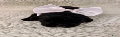 DHU