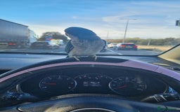 Parakeets birds for sale: 13 week old blue quaker parrot for sale  - Image 2