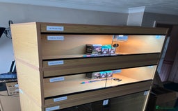 Leopard Gecko reptiles for sale: Leopard Gecko + Vivarium Setup Kit - Image 4