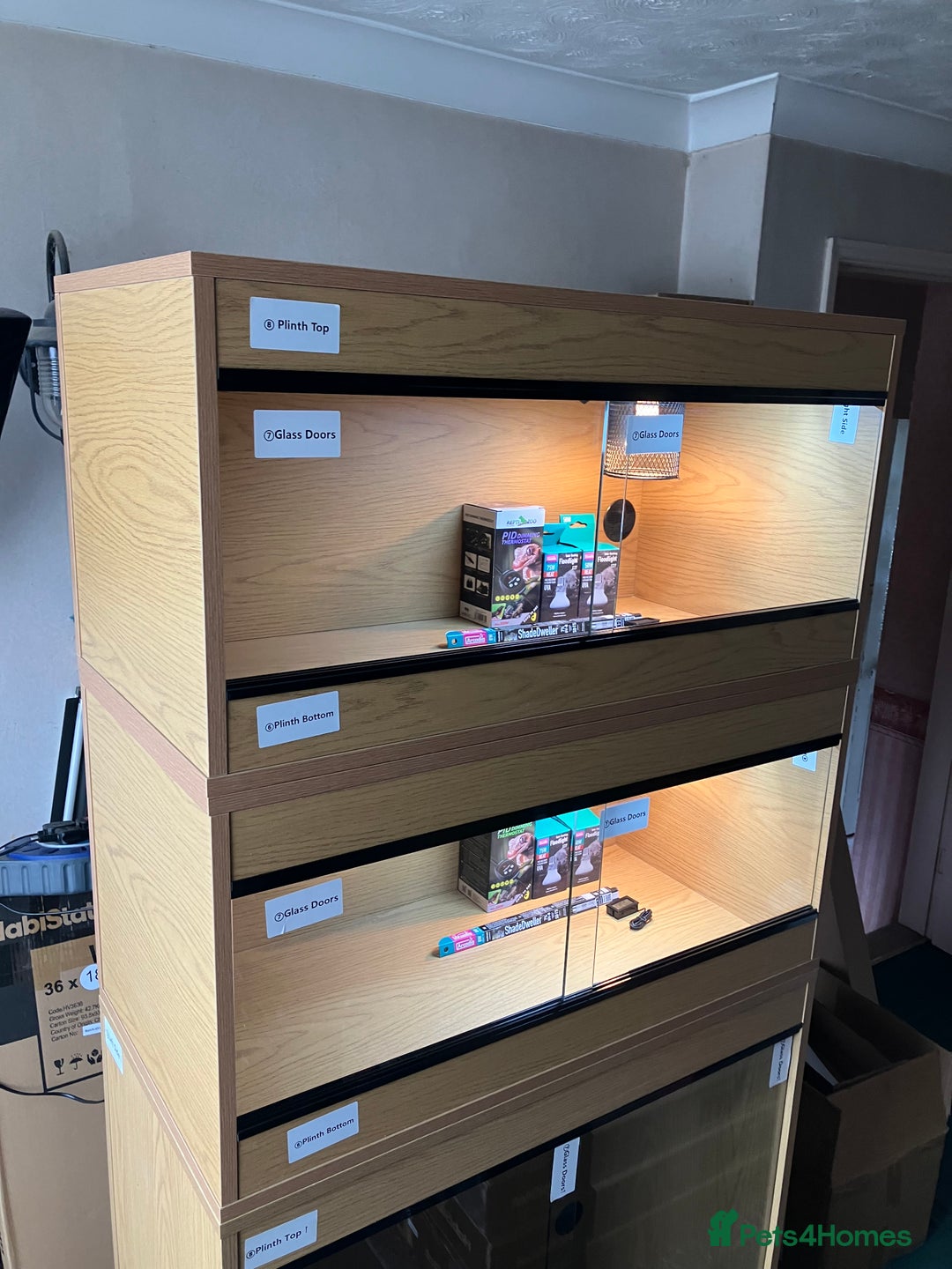Leopard Gecko reptiles for sale: Leopard Gecko + Vivarium Setup Kit - Image 4