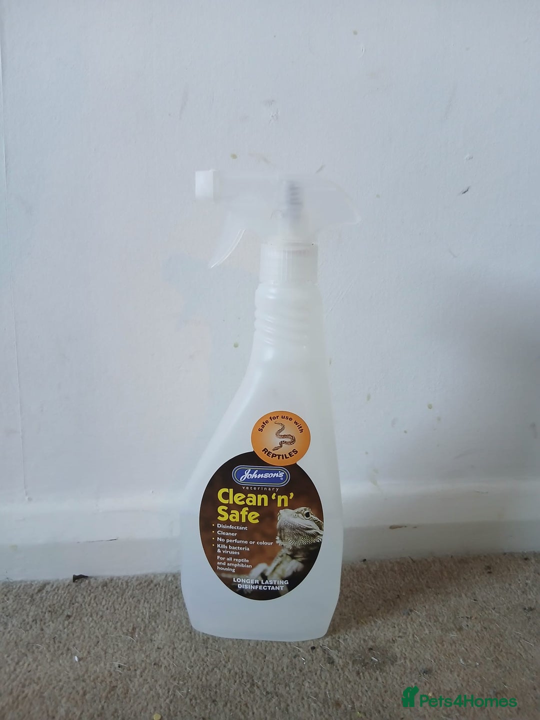 Bearded Dragon reptiles for sale: Bearded Dragon and full set up - Advert 6