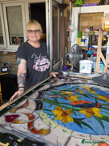 Gallery Image {{count}}