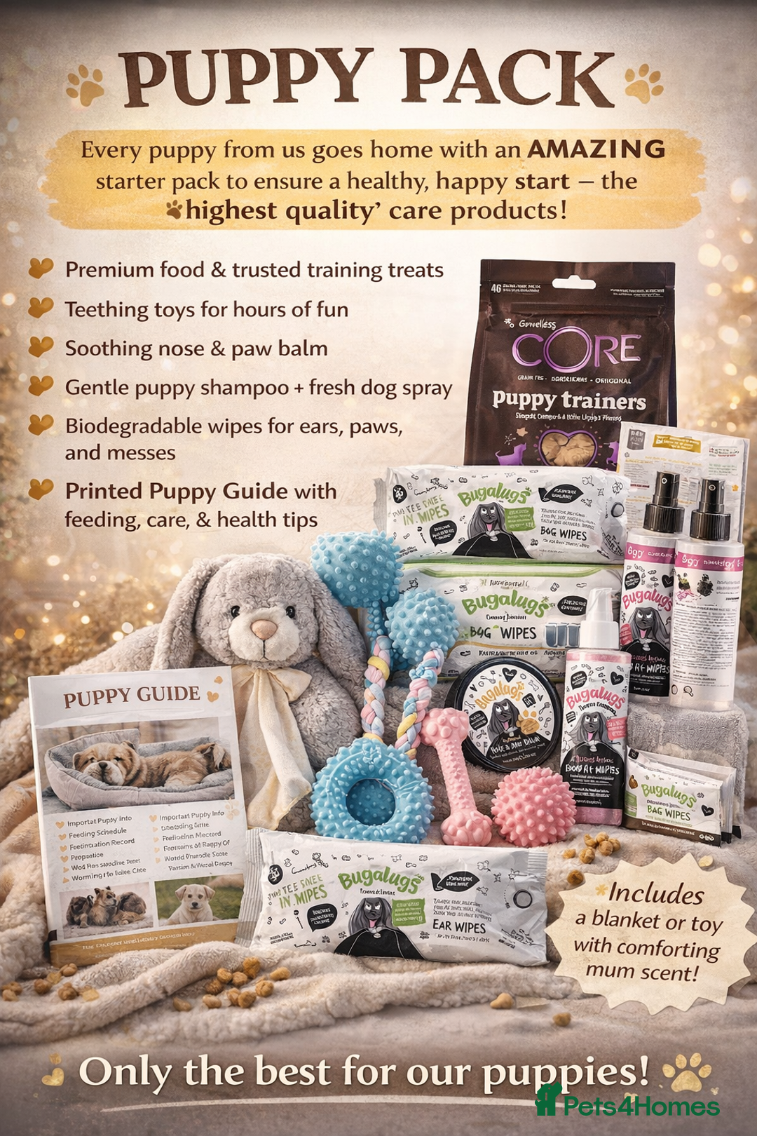 English Bulldog dogs for sale: Elite KC Registered English Bulldog Puppies - Advert 14