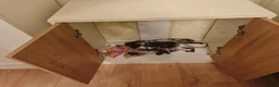 Other/Mixed Breed fish for sale: 50L Aquarium, With 400L/H Ext. Filter +accessories - Advert 8