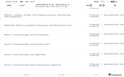 Russian Blue cats for sale: GCCF ACTIVE RUSSIAN QUEEN - Advert 7