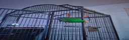 Parrots birds for sale: Talking Male Eclectus Parrot and huge cage  - Advert 4