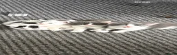 Domestic Shorthair cats for sale: kittens ready to go now🐾 in Nottingham - Advert 1