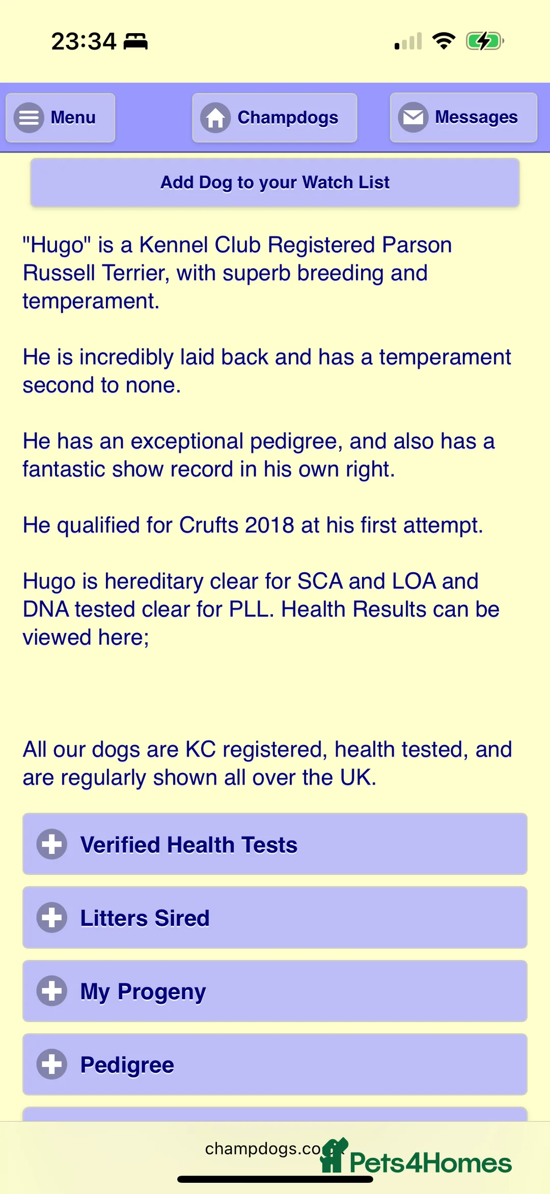 Parson Russell dogs for sale: Exceptional litter of Parson Russell Terrier Pups  - Advert 9