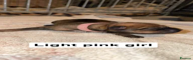 Light Pink Girl