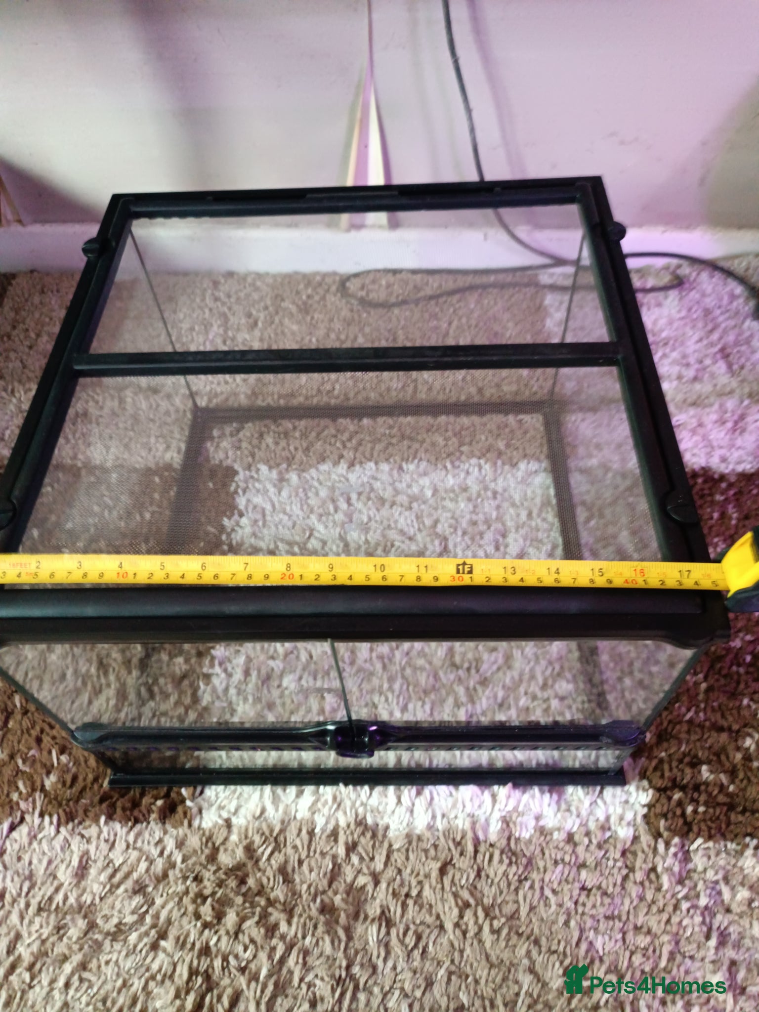 Mixed Breed reptiles Exo Terra enclosure  - Advert 1