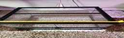 Mixed Breed reptiles for sale: Exo Terra enclosure  in Ruthin - Advert 1