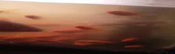 Goldfish fish for sale: Goldfish from 2 months - 8 months  in Dunstable - Advert 7