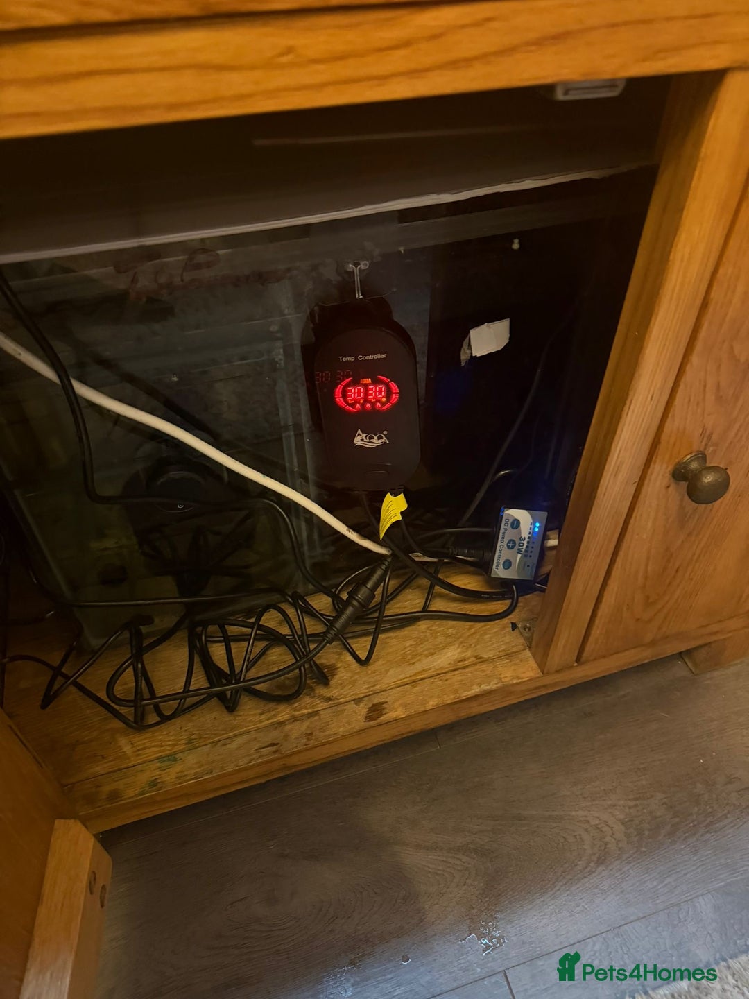 Discus fish for sale: 5 foot solid oak Fish Tank with Sump - Advert 13