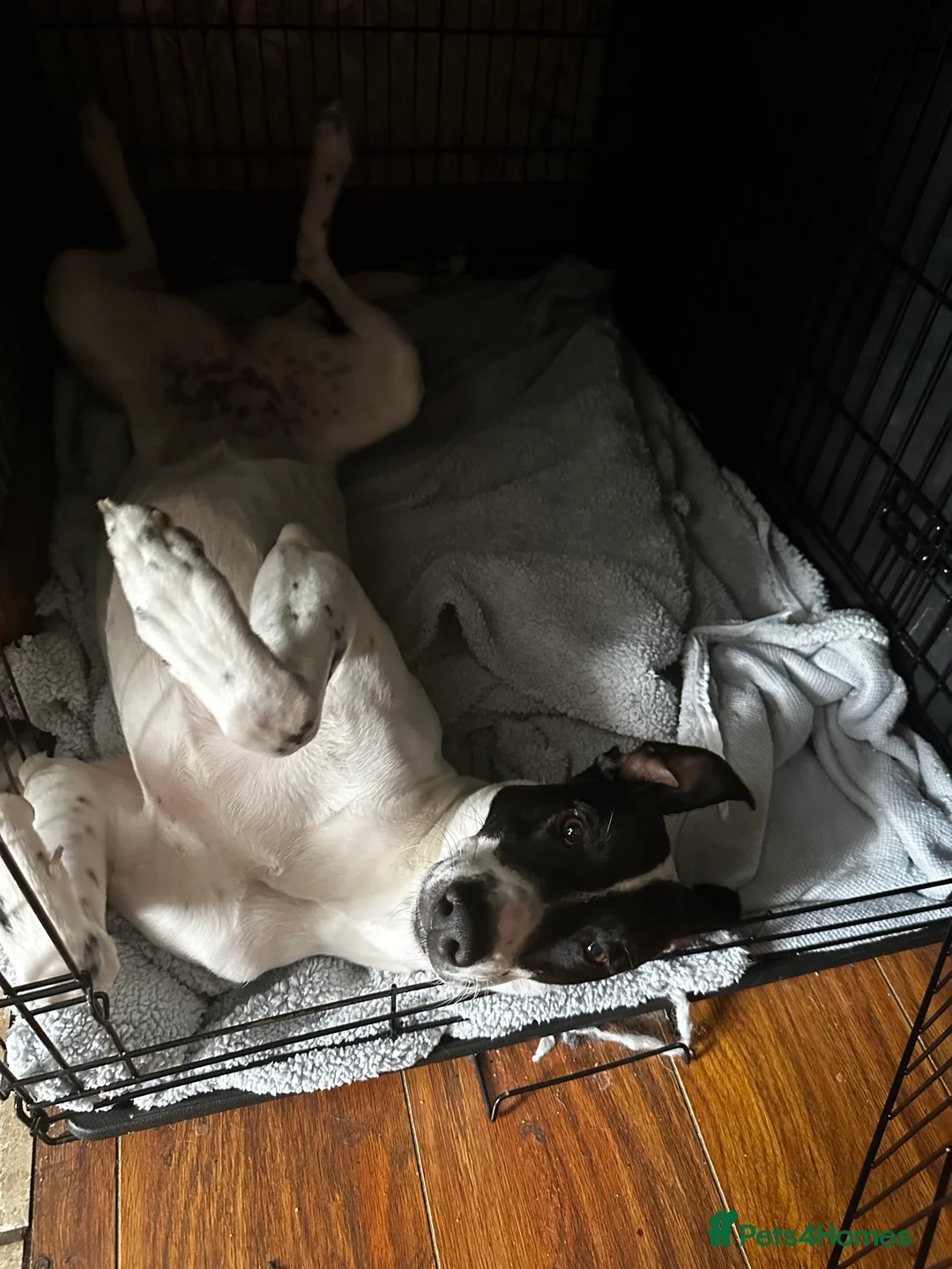 Gallery Image {{count}}