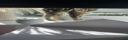 Mixed Breed cats for sale: Mother and daugther - Advert 3