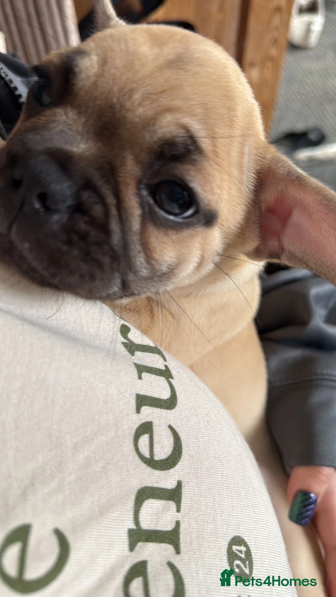 Gallery Image {{count}}