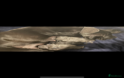 Mixed Breed dogs for sale: STUNNING MASTIFF/GREAT DANE PUPPIES - Advert 1