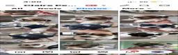 Zuchon dogs for sale: Shishon/zuchon - Advert 2