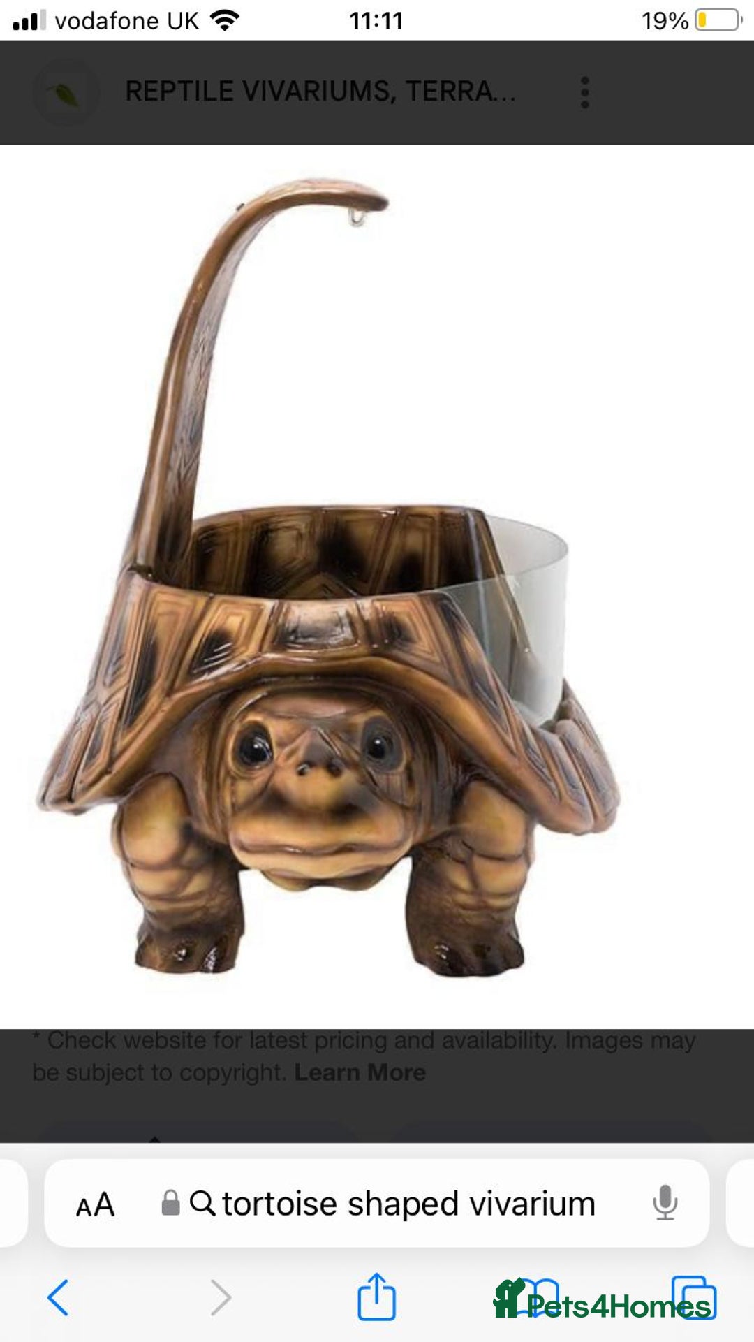 Tortoise reptiles for sale: Sulcata tortoise with terrarium  - Image 3