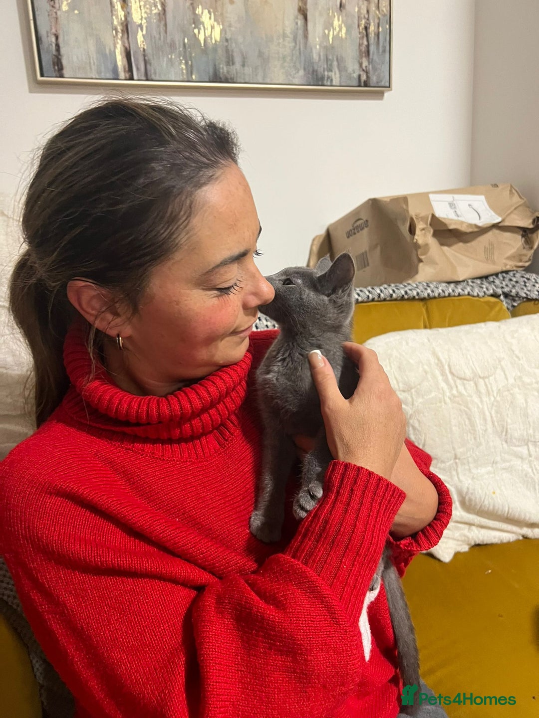 Russian Blue cats for sale: Gorgeous Championship Russian blue kittens  - Advert 34