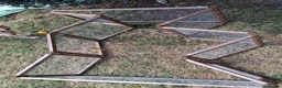 Guinea Pig rodents for sale: Full set up EVERYTHING - Advert 4