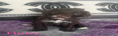 Ruby