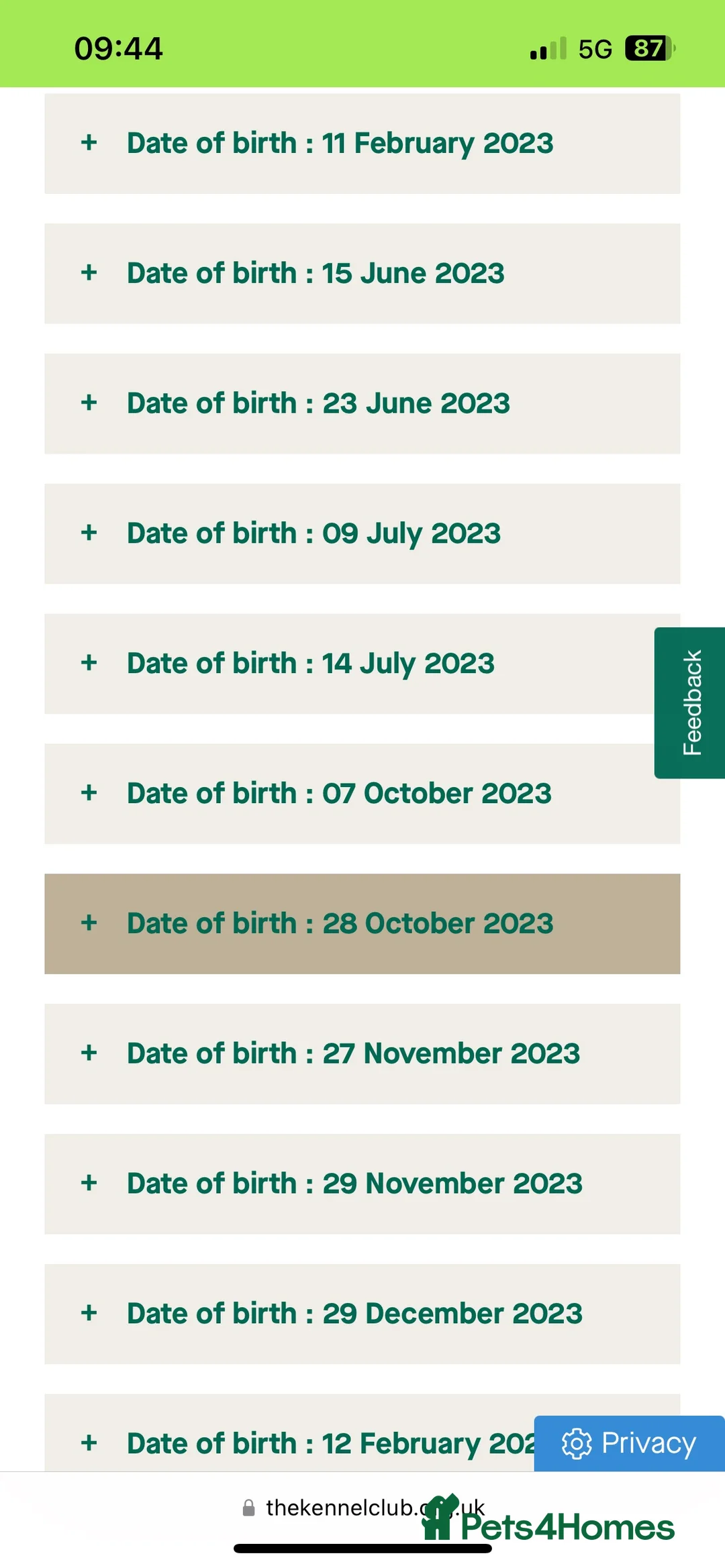 Staffordshire Bull Terrier dogs for stud: REGGIE kc PROVEN (HEALTH TESTED) Dark Blue in Wisbech - Advert 5