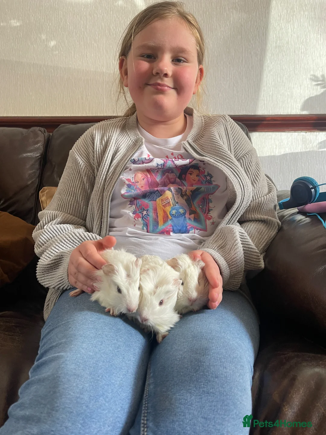 Guinea Pig rodents for sale: Baby Guinea Pigs Looking For New Homes - Advert 25