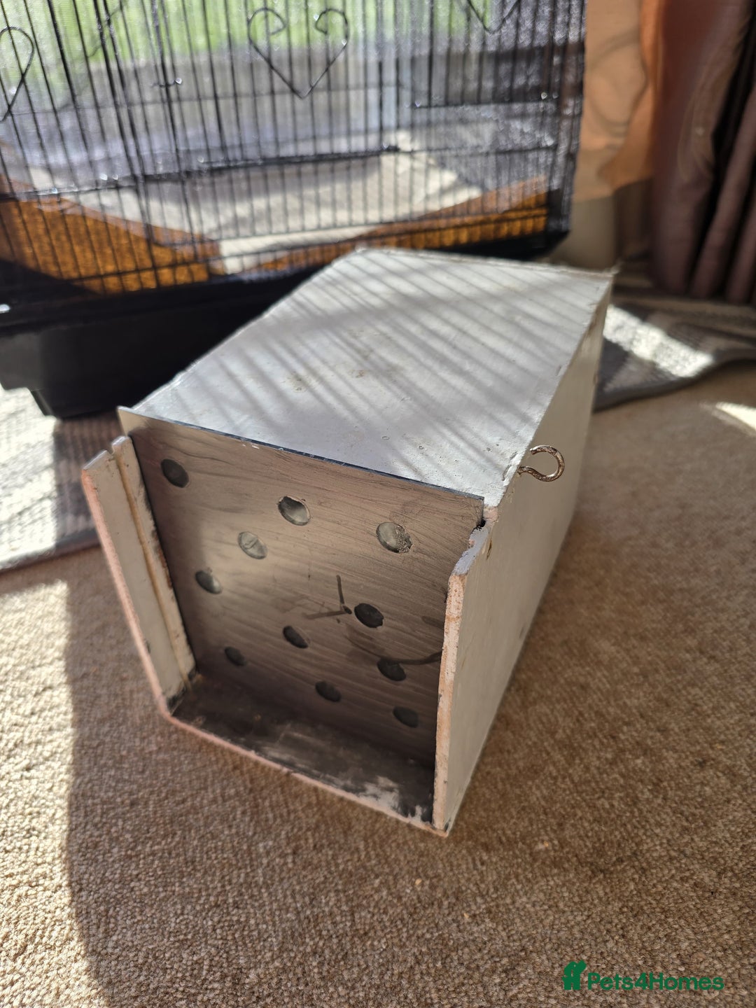 Budgerigars birds for sale: Budgie & Cage Set - Advert 14