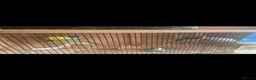 Budgerigars birds for sale: Budgies  in Worksop - Advert 8