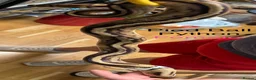 Snake reptiles for sale: Mixed Snakes - Advert 29