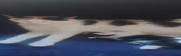 Mixed Breed cats for sale: Kittens ready now  - Advert 2