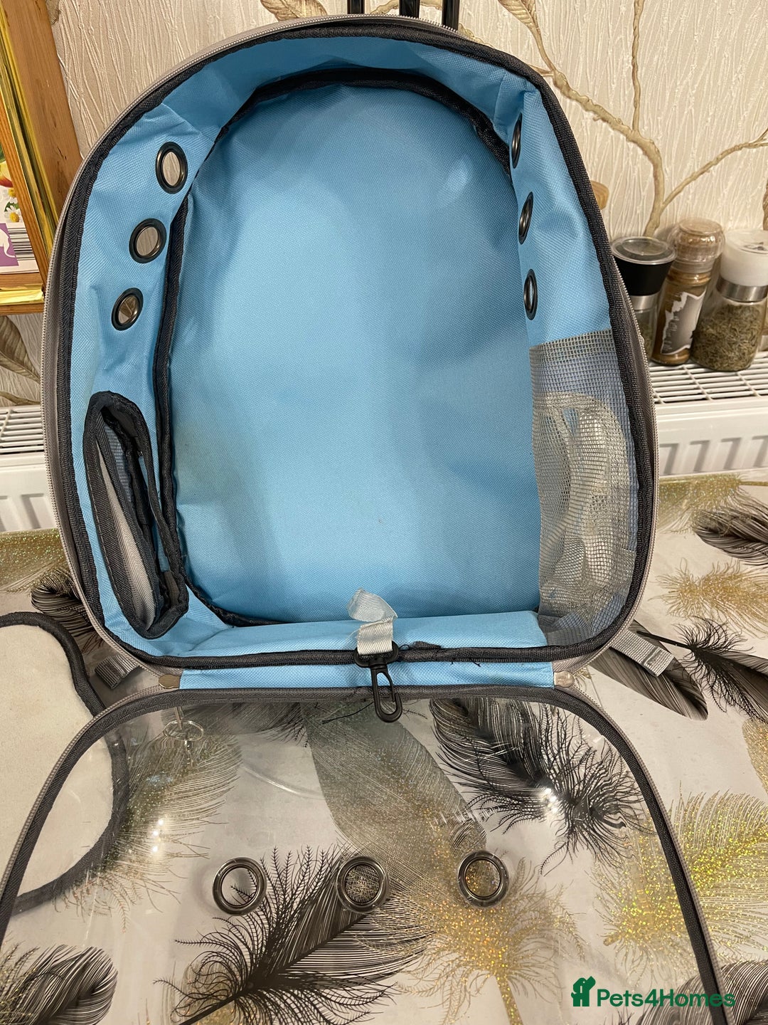 British Shorthair cats for sale: Pet Backpack Carrier Bubble  - Image 7