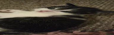 MALE