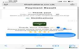 Persian cats for sale: Seal Colourpoint Persian Kittens - Image 16